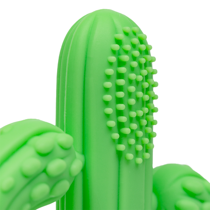 Massageador de Gengiva Buba - Cacto